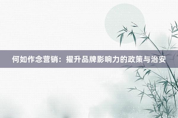 何如作念营销：擢升品牌影响力的政策与治安