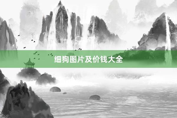 细狗图片及价钱大全